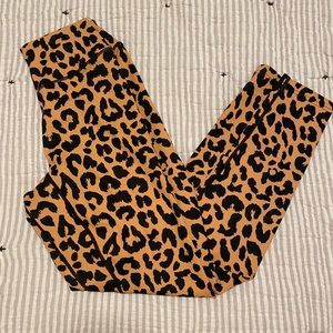 Balance Athletica Kingdom Collection